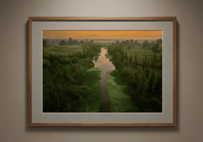 Acuarelas Sobre Xochimilco - Imagen 2