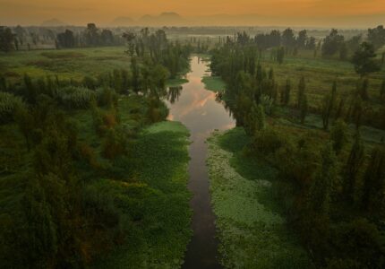 Acuarelas Sobre Xochimilco