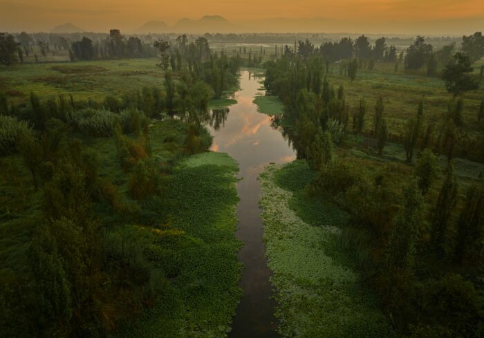 Acuarelas Sobre Xochimilco