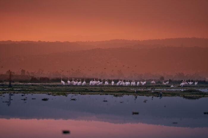 Hábitat de Silencio