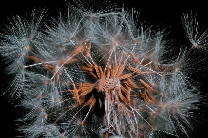 La Arquitectura del Viento
