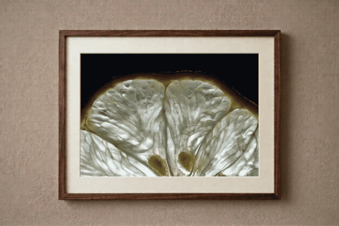 Vitral Cítrico - Imagen 2