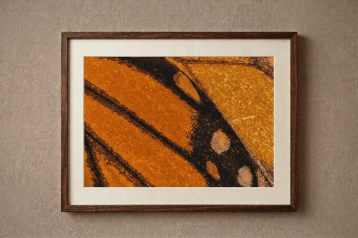 Vuelo Etéreo - Imagen 2